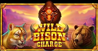 wild-bison-charge